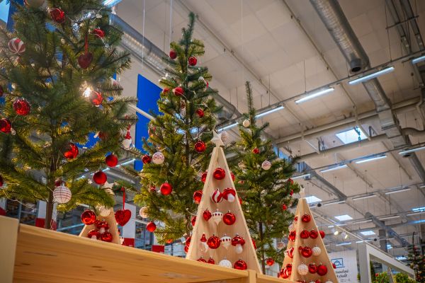 Onde Comprar Árvores de Natal